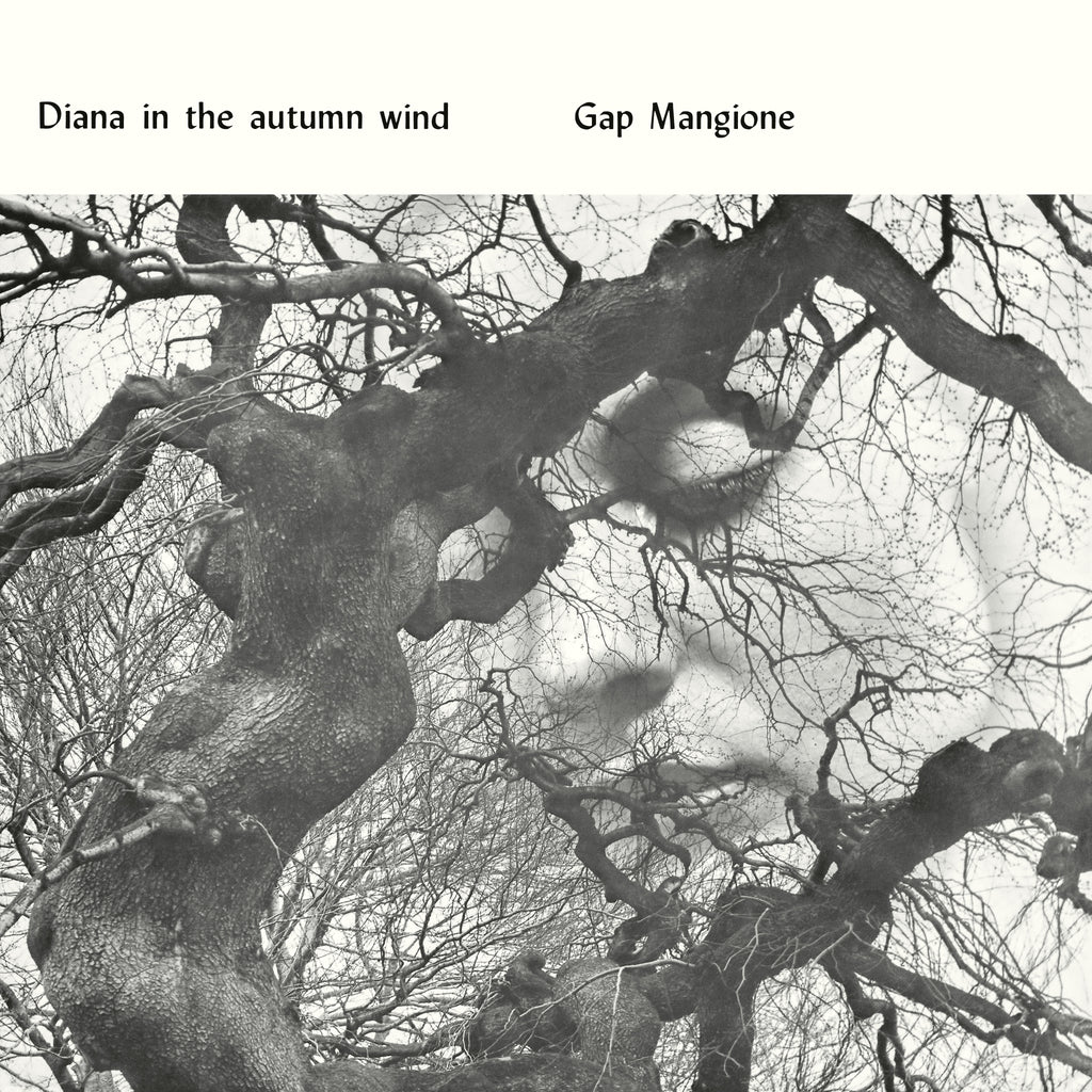Gap Mangione | Diana In The Autumn Wind | LP