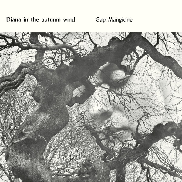 新品Gap Mangioneダイアナ・イン・ザ・オータム・ウィンド　レコード Be With Records • Gap Mangione Diana In The Autumn Wind LP