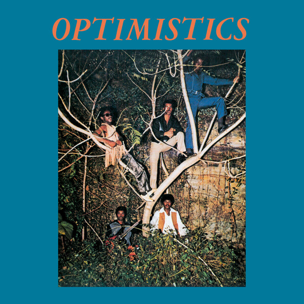 洋楽 THE OPTIMISTICS / OPTIMISTICS BEWITH067LP__outside_front_gra